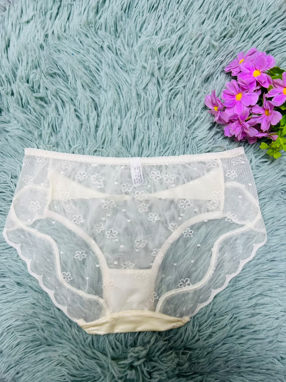 Floral Lace Sheer Panties