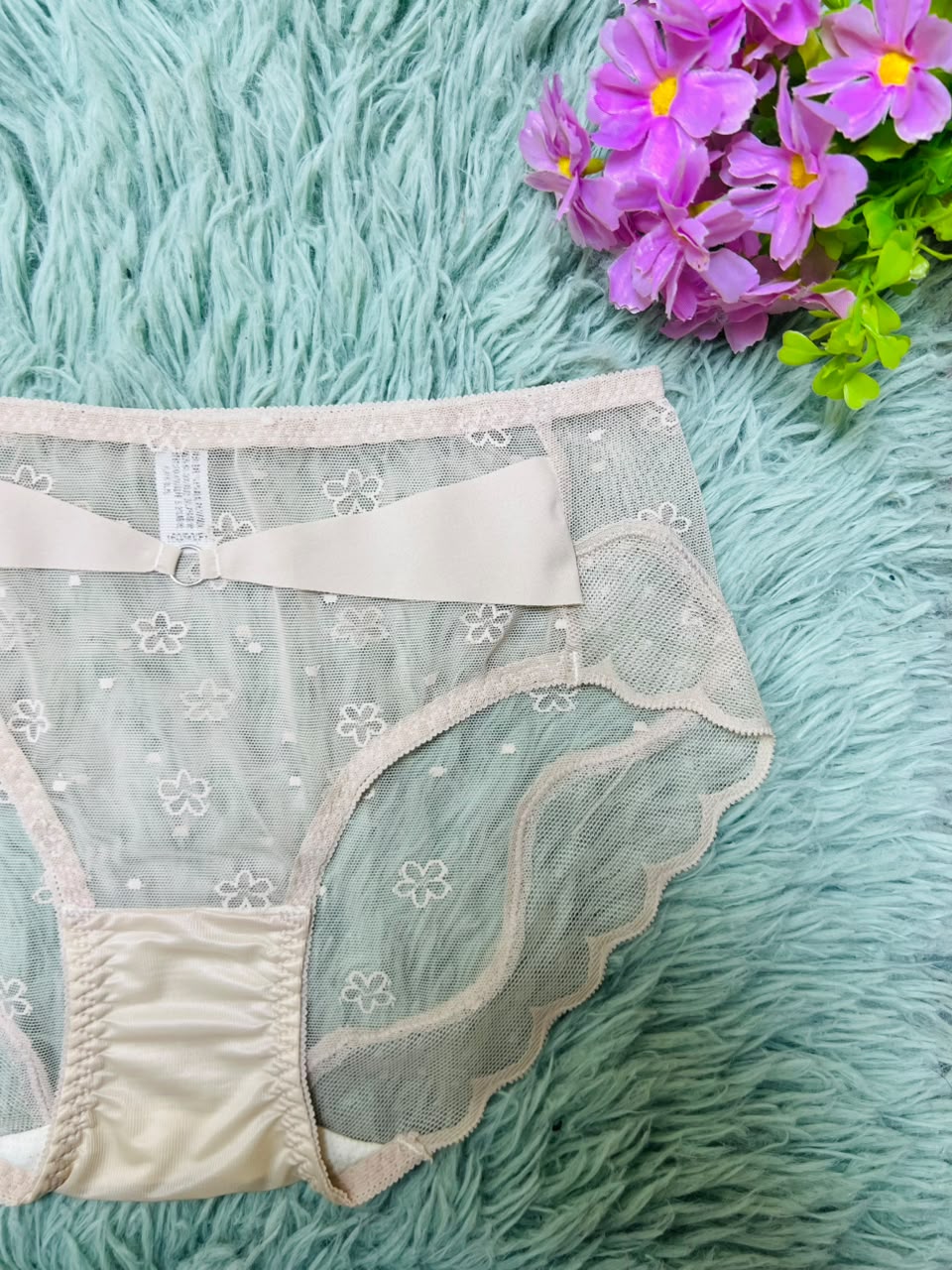 Floral Lace Sheer Panties