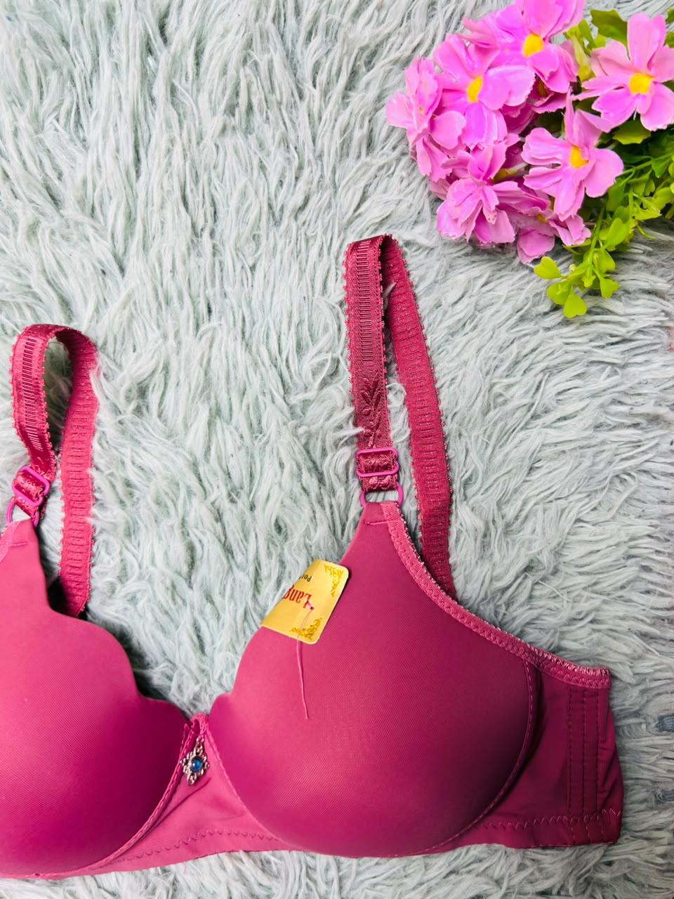 Seamless Sweetheart T-Shirt Bra – Crystal Charm Padded Bra